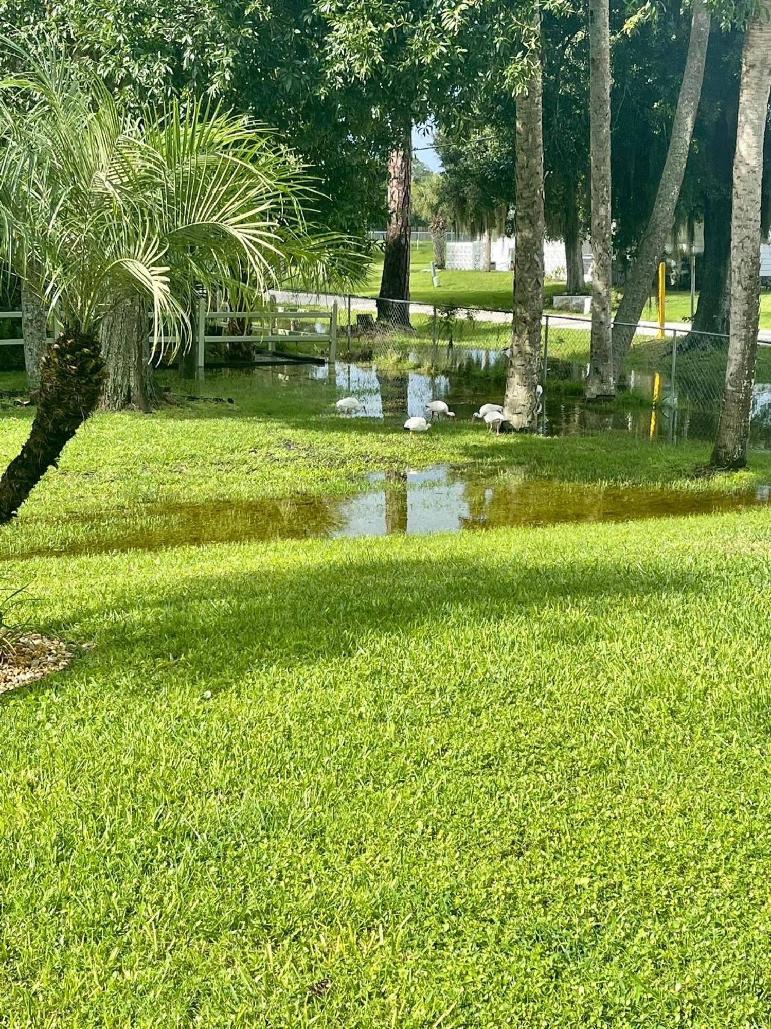 Sunny Oasis Getaway -Heated Pool-Mini Golf-Near Beach Nokomis Exteriör bild